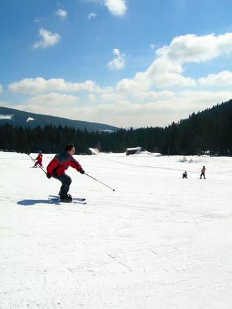 img00019
