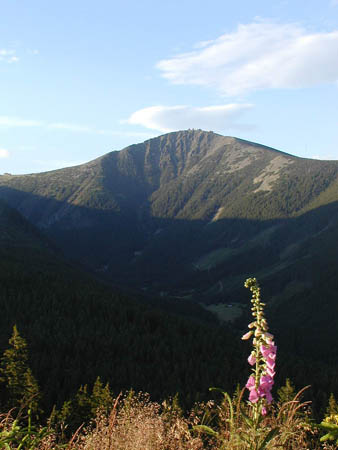 P7141759