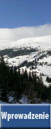 Wprowadzenie
